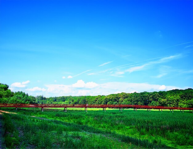 Zomer brug landschap achtergrond hd