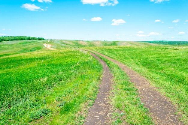 Zomer buiten groen grasveld met wegpad