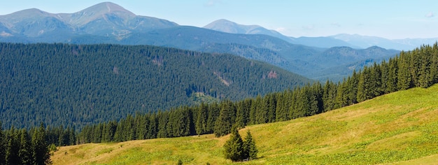 Zomer Chornohora bergrug uitzicht vanaf Vesnjarka plateau (Karpaten, Oekraïne). Twee opnamen naaien een panorama met hoge resolutie.