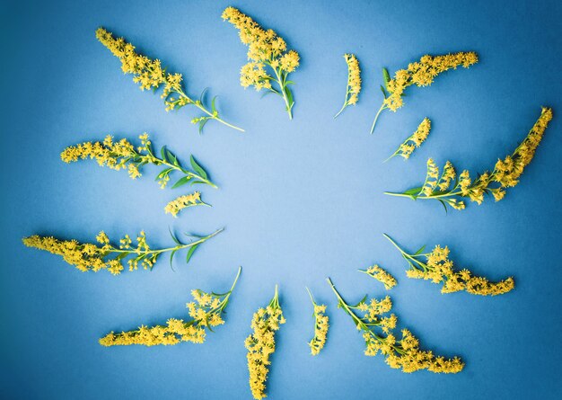 Foto zomer gele wilde bloemen op blauwe achtergrond. lente bloemen