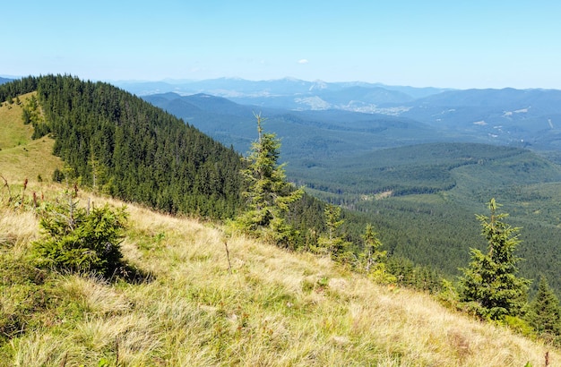 Zomer Gorgany bergrug uitzicht vanaf Vesnjarka plateau (Karpaten, Oekraïne).