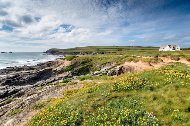 Zomer in Boobys Bay in Cornwall