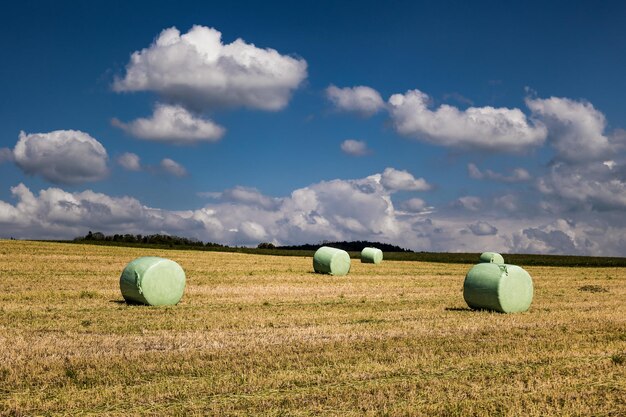 Foto - zomer in de binnenlanden