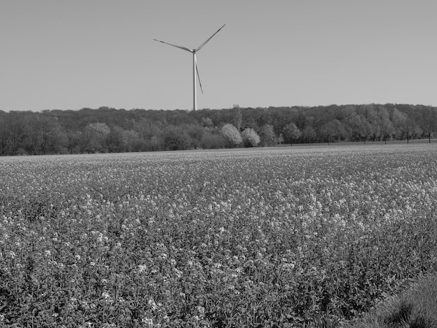 Foto zomer in westfalen