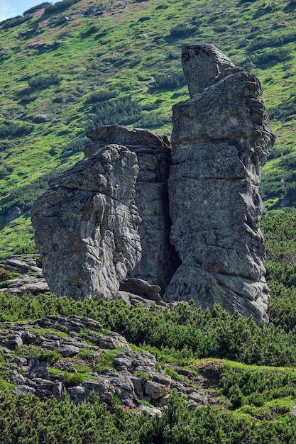 Zomer Karpaten berglandschap