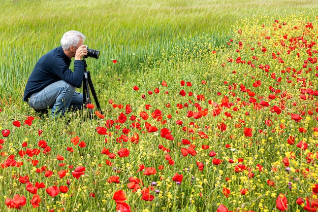 Zomer klaprozenveld fotograferen