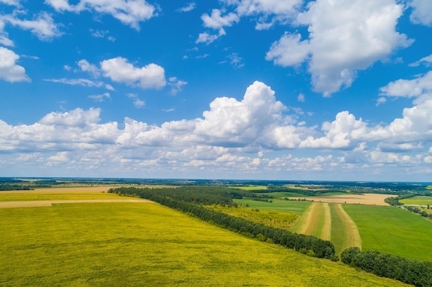 Zomer landelijk landschap met een veld met zonnebloemen en een prachtige lucht Bovenaanzicht van de pittoreske velden Natuur achtergrond