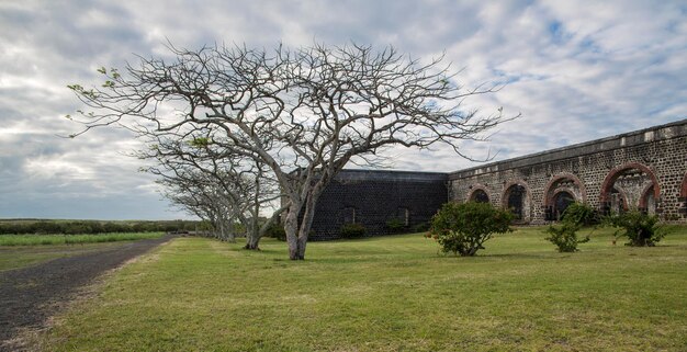 zomer landschap Afrikaanse savanne in Mauritius