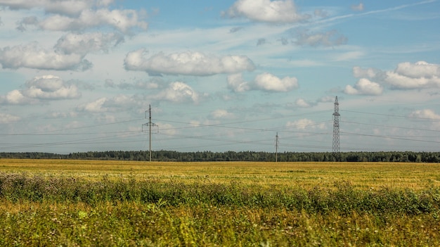 Zomer landschap in het veld. lucht en veld. mooi zomerlandschap