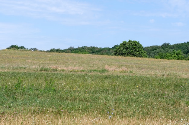 Zomer landschap met een heuvel