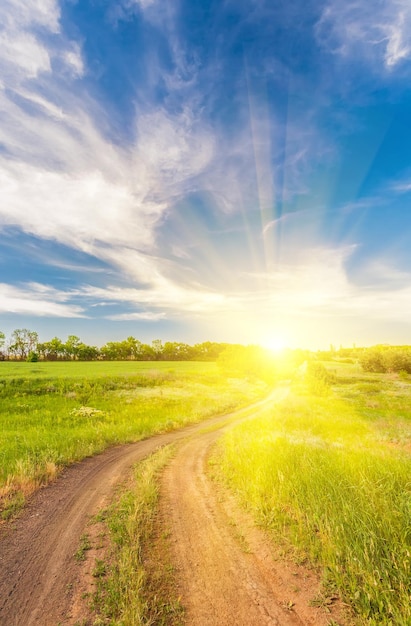 Zomer landschap met groen gras