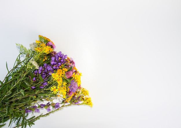 Zomer medische kruiden bos op witte achtergrond. Boeket van boerenwormkruid en doornige wilde bloemen van klis