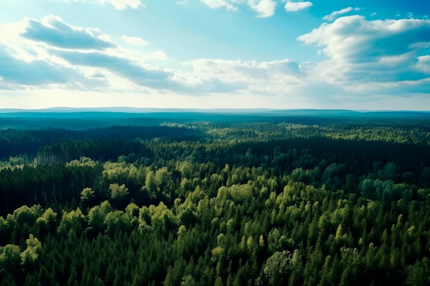 Zomer mistig bos top view Groene bladeren van bomen bos en bergen