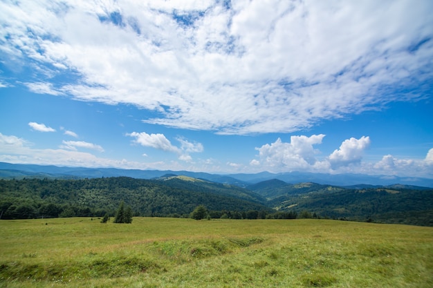 Zomer natuur landschap van Karpaty Mountains.