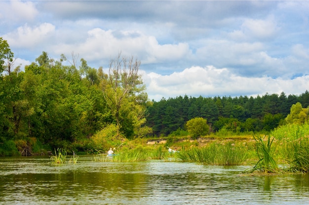 Zomer natuur rivier boslandschap