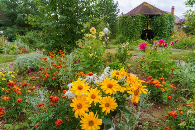 Zomer op het platteland Leuke bloemen in de tuin van een landhuis