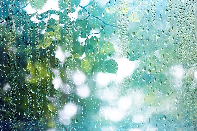 zomer regen nat glas / abstracte achtergrond landschap op een regenachtige dag buiten het raam wazig achtergrond