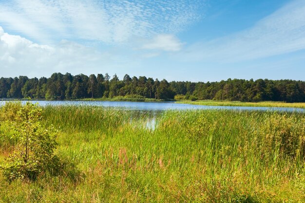 Zomer ruig meer