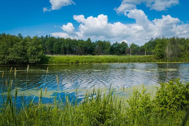 Zomer rurale landschap met rivier en blauwe hemel