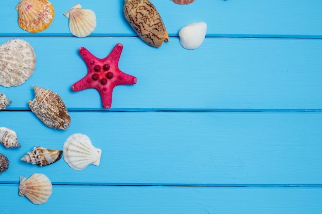 Zomer, schelpen op blauwe houten