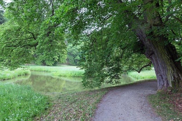 Zomer stadspark met meer en pad