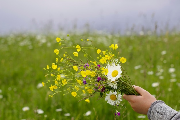 zomer stilleven met kinderhand met kleurrijke wilde bloemen boeket in de wei