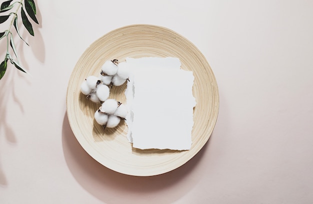 Zomer stilleven scène met een olijftak en schaduwen blanco vel papier met katoenen bloemen