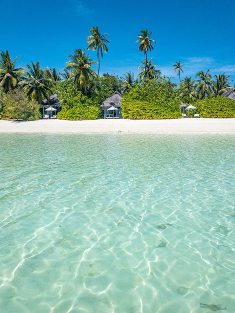 Zomer strand landschap. exotische kust, kust met palmen, wit zand, zonnige hemel. vakantie behang