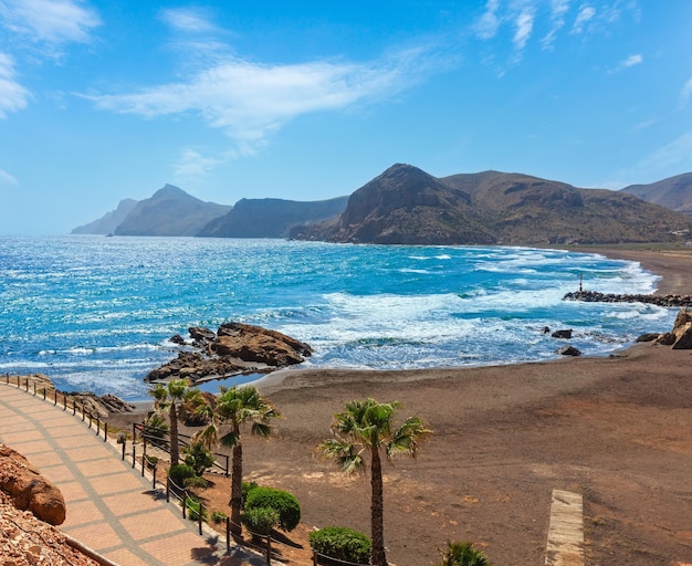 Zomer strand voetpad en palmbomen Spanje