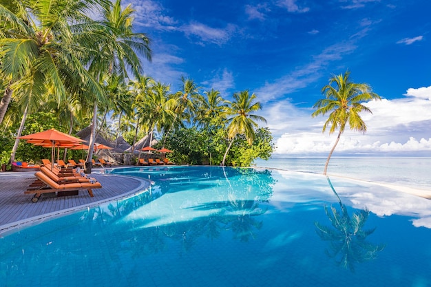 Zomer strand zwembad op zonnige dag reflectie van palmbomen tropisch landschap exotische vrije tijd