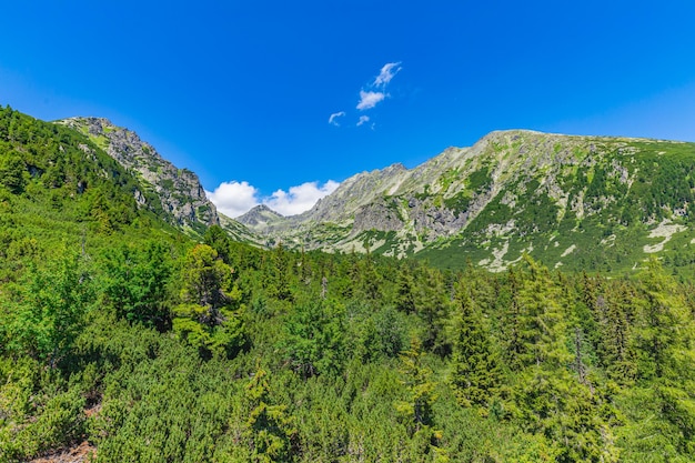 Zomer tatra-gebergte, slowakije. panoramisch zomers uitzicht op het hoge tatra-gebergte, groen in de vallei