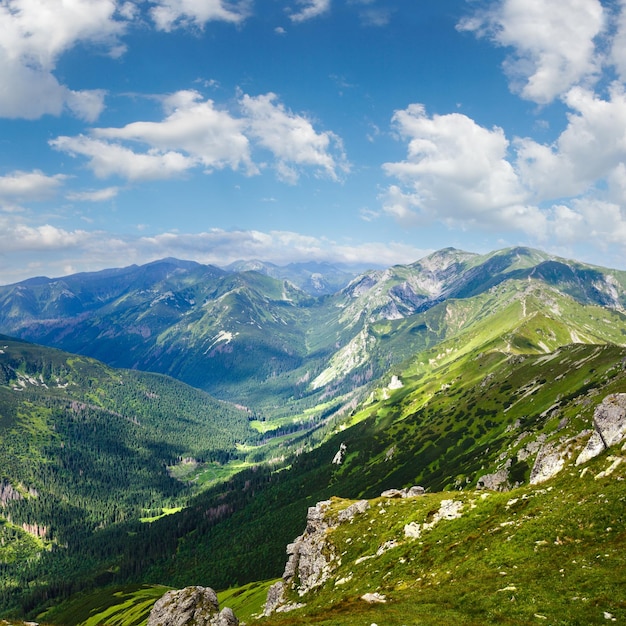 Zomer Tatragebergte Polen