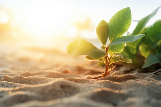 Zomer tropisch strand en golven