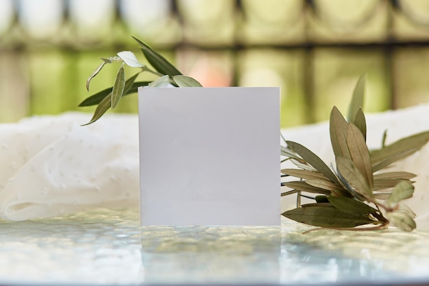 Zomer witte ansichtkaart of uitnodigingsmodel met groen takje olijfboom