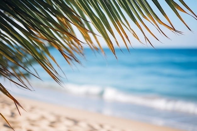 Zomer zandstrand met kokospalm op een heldere dag