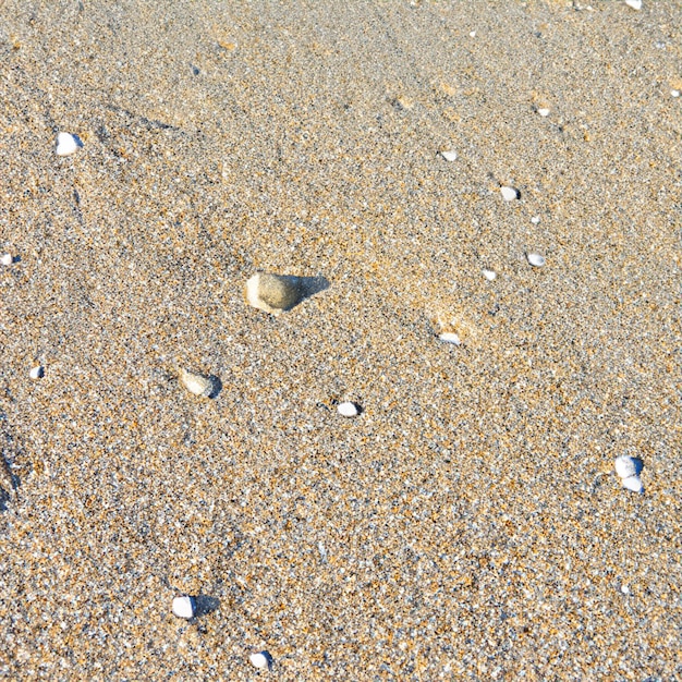 Zomer zee zand textuur naadloze zon