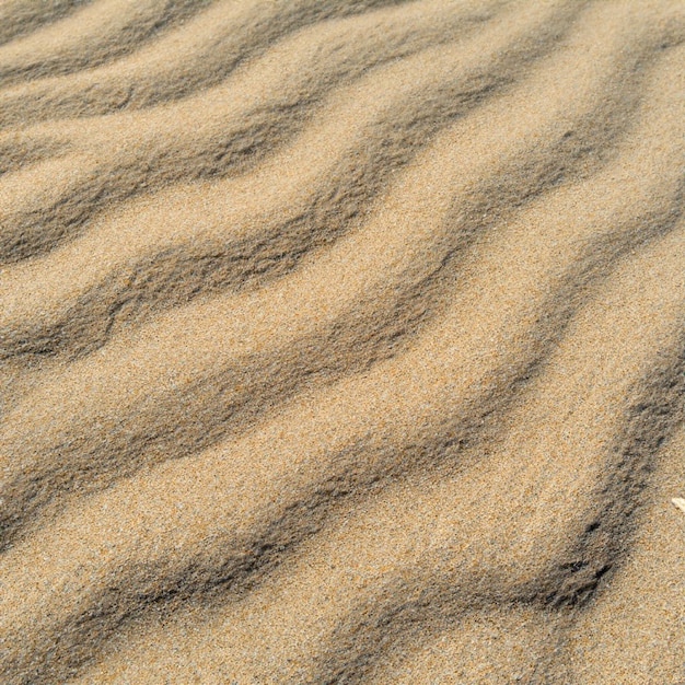 Zomer zee zand textuur naadloze zon