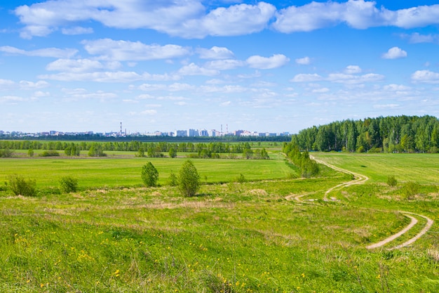 Zomer zonnig landschap in het veld