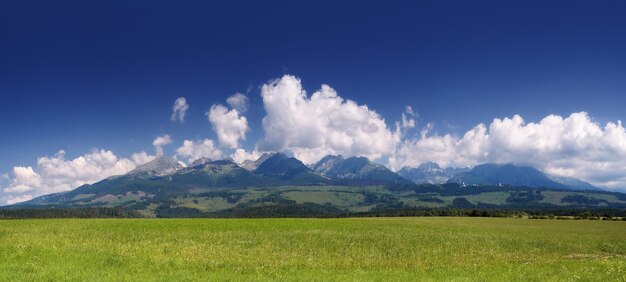 Zomer zonnige dag in de bergen. Landschapsmening. Slowakije, Hoge Tatra
