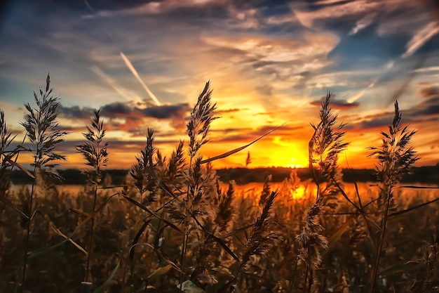 zomer zonsondergang meer, natuur, mooie lucht