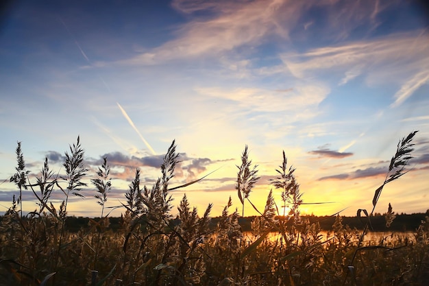 zomer zonsondergang meer, natuur, mooie lucht