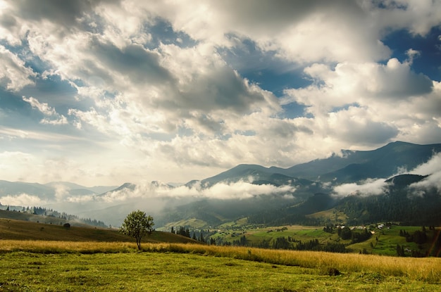 Zomerberg Landschap