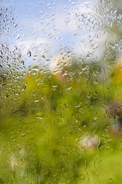 Zomerbloemen achter het natte glas met regendruppels.