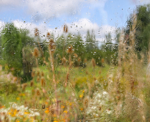 Zomerbloemen achter het natte glas met regendruppels.