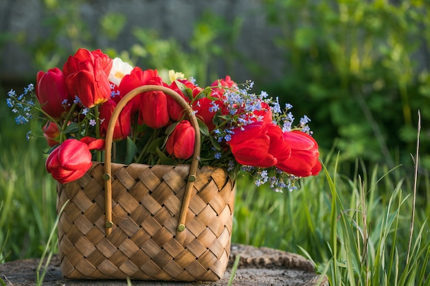 Zomerbloemen in stromand