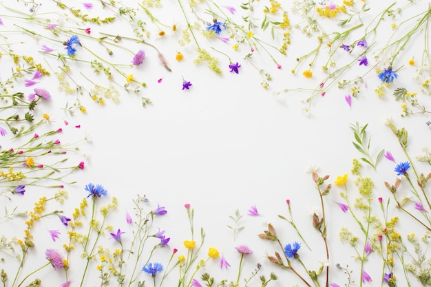 Zomerbloemen op Witboek achtergrond