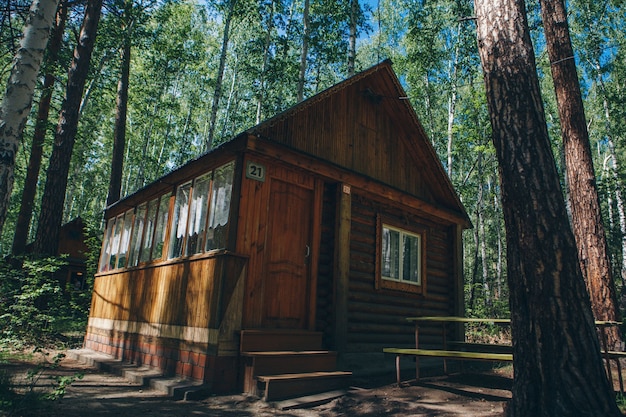 Foto zomerblokhuis in een berkenbos. kamperen in het bos. milieuvriendelijke constructie