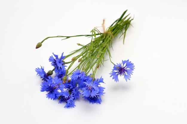 Zomerboeket van blauwe bloemen korenbloemen op een witte achtergrond