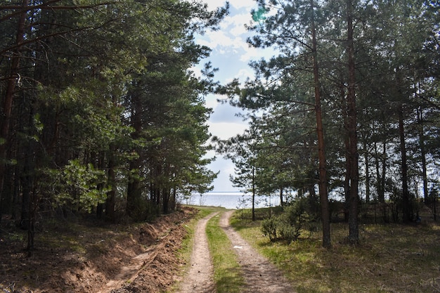 Zomerkust van de Wolga