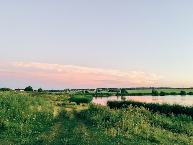 Zomerlandschap aan de oever van een vijver in de ondergaande zon